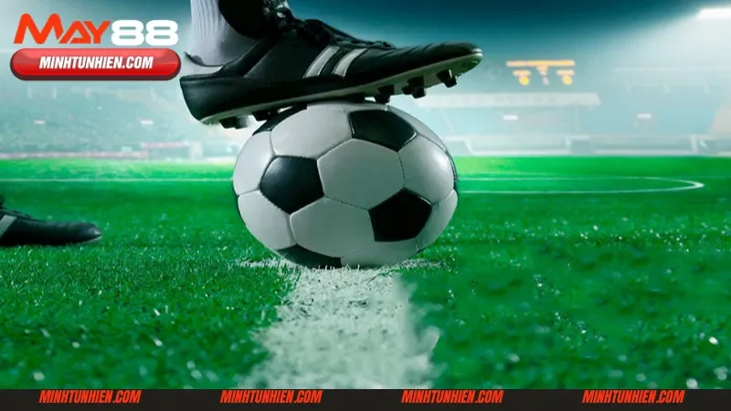 Chọn loại kèo mong muốn khi tham gia giải đấu World Cup