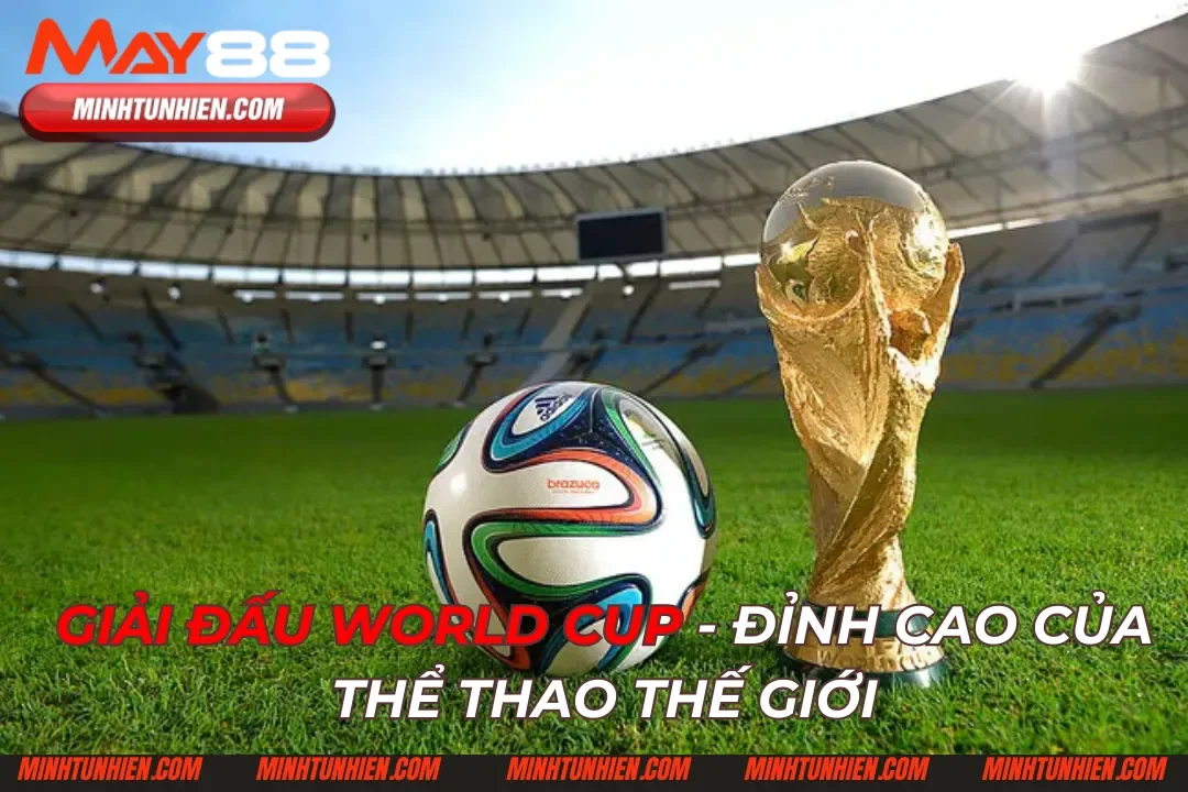 Giải Đấu World Cup - Đỉnh Cao Của Thể Thao Thế Giới
