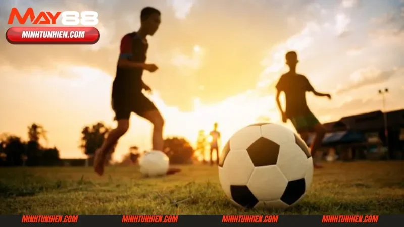 Hướng dẫn tham gia cá cược thể thao K sport tại May88